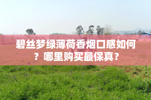 碧丝梦绿薄荷香烟口感如何？哪里购买最保真？